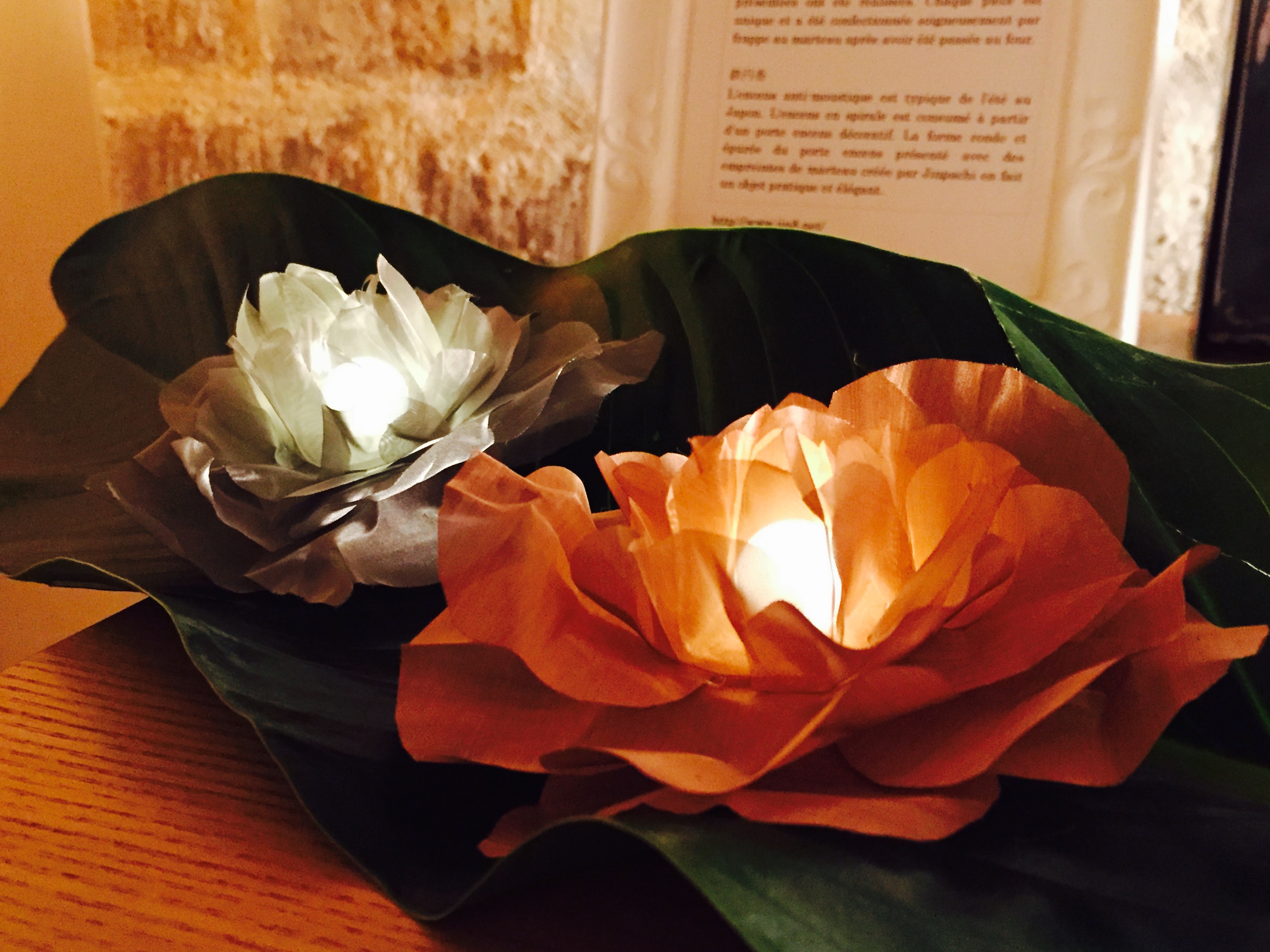 20160907_133555076_iOS