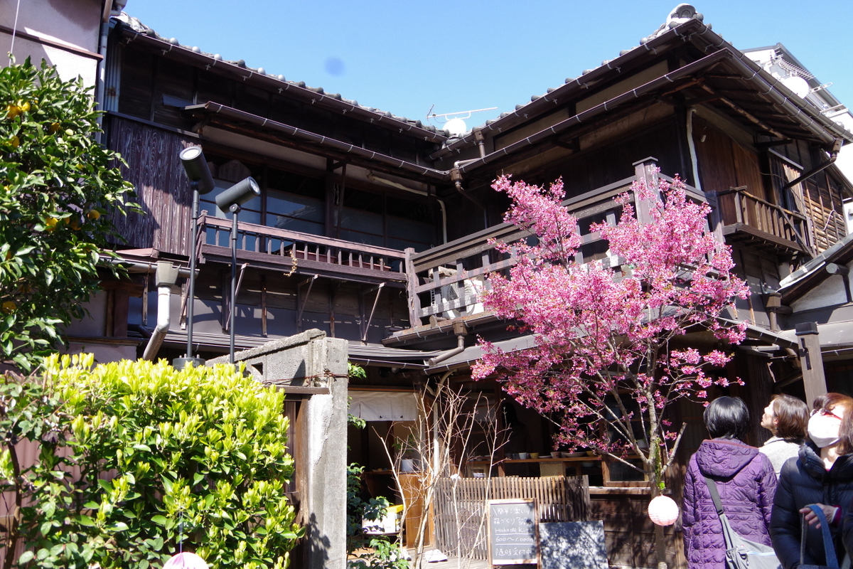 上野桜木IMGP1363